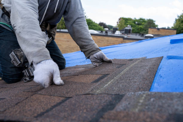 Best Storm Damage Roof Repair  in East Moline, IL