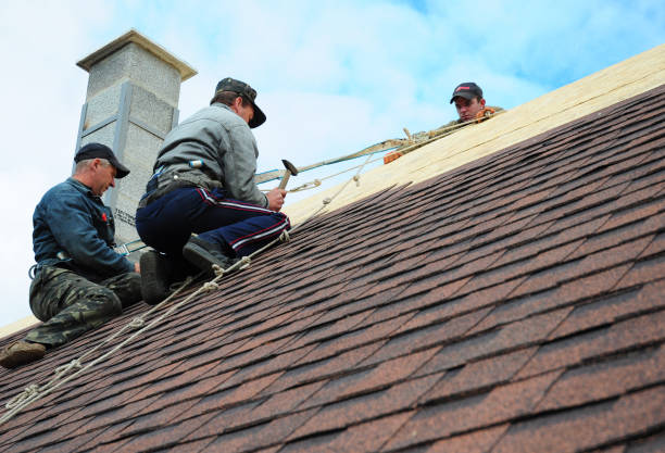 Best Affordable Roof Replacement  in East Moline, IL